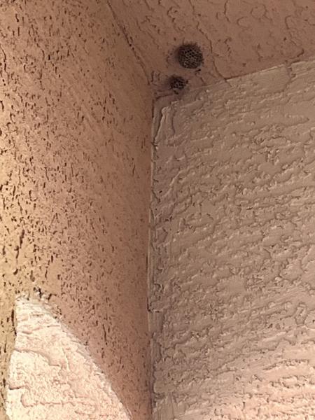 JS Pest Control