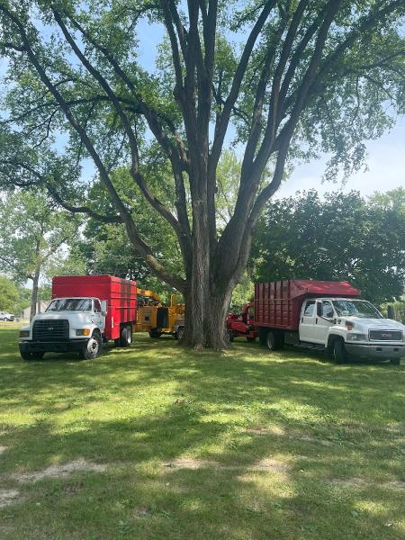 Engledow Tree Experts LLC