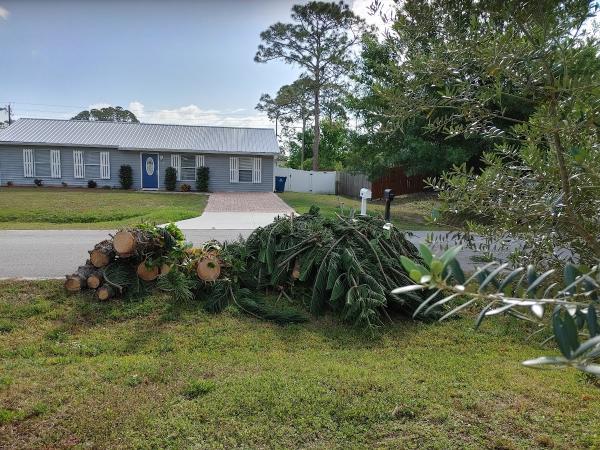 Kevin's Tree Service