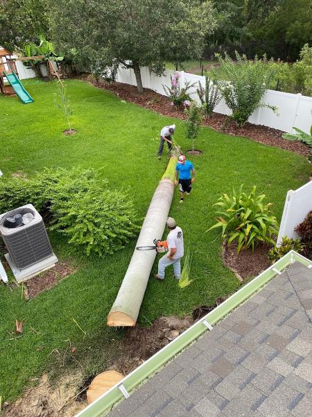 Kevin's Tree Service