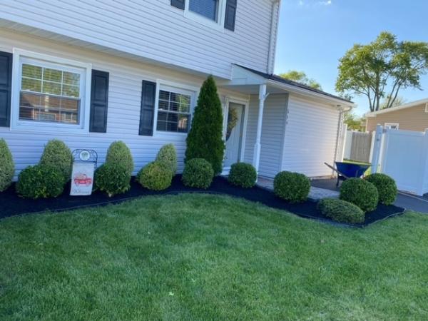 Anthony's Lawn Care Landscaping