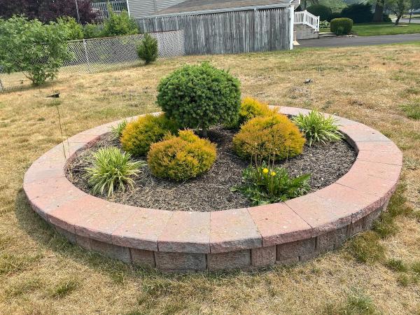 Anthony's Lawn Care Landscaping