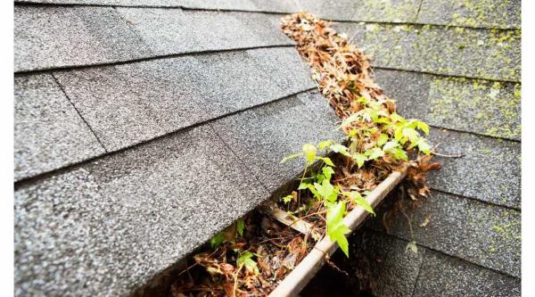 A to Z House Services