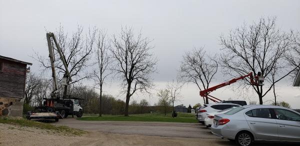 Krizsan Tree Service