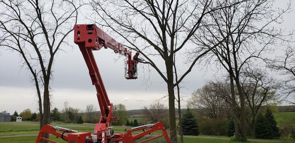 Krizsan Tree Service