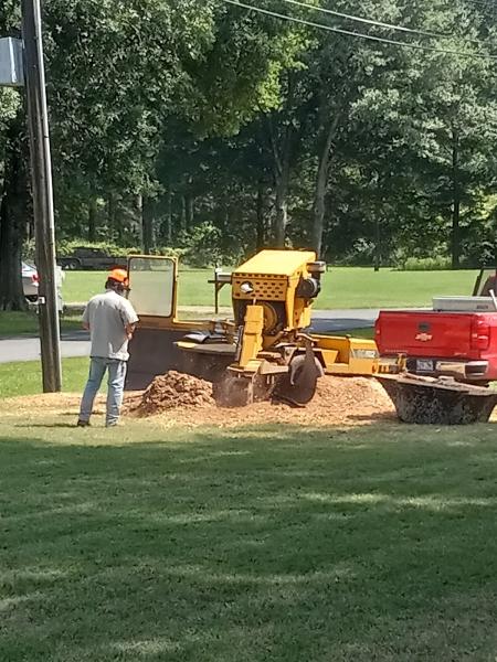 Stump-b-Gone