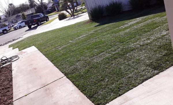 Green Scene Landscaping