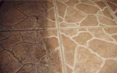 Connells Carpet Cleaning