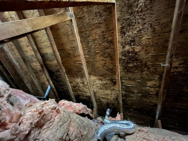 Ecoclean Restoration