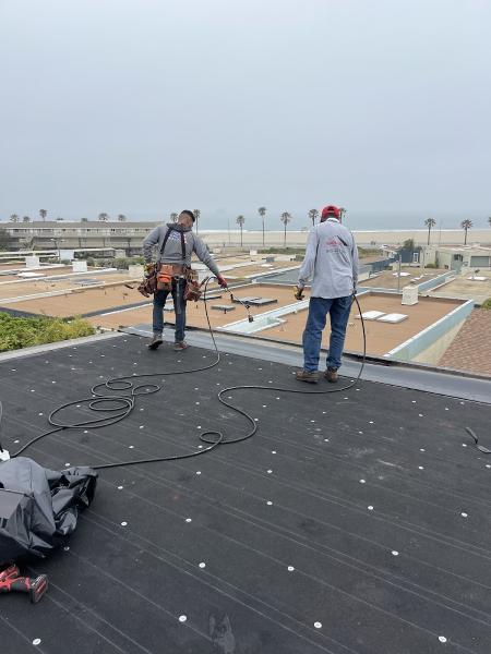 Shelter Roofing and Solar