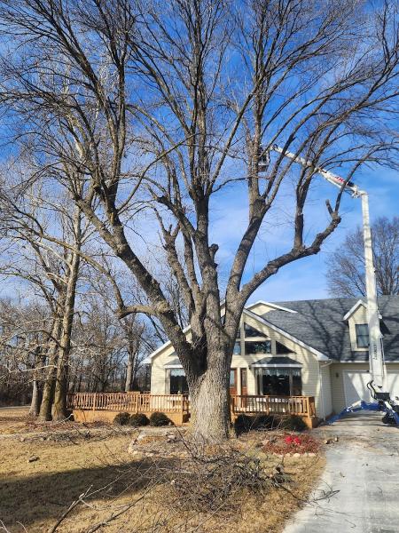 Advanced Tree Solutions LLC