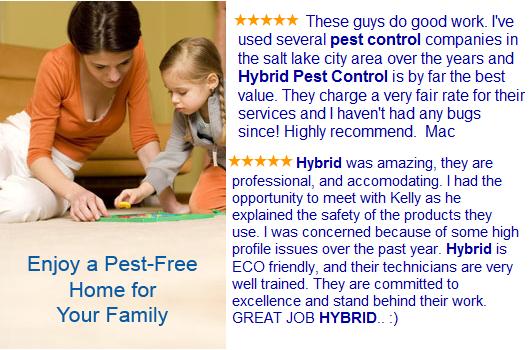 Hybrid Pest Control