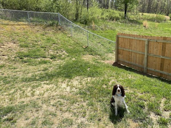 Action Fence