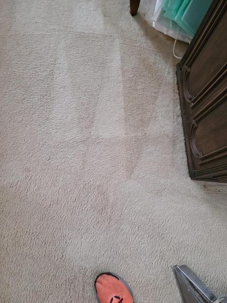 Bermon Carpet Cleaning