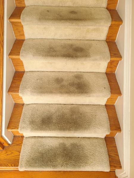 Bermon Carpet Cleaning