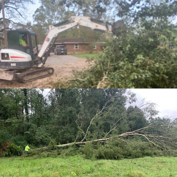 Blue Grove Land Clearing & Dirt Work