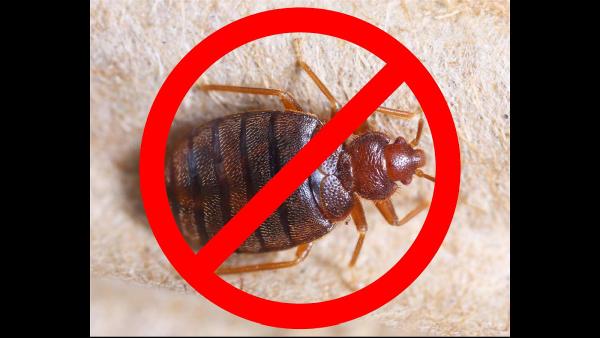 H.T. Treadway Pest Control