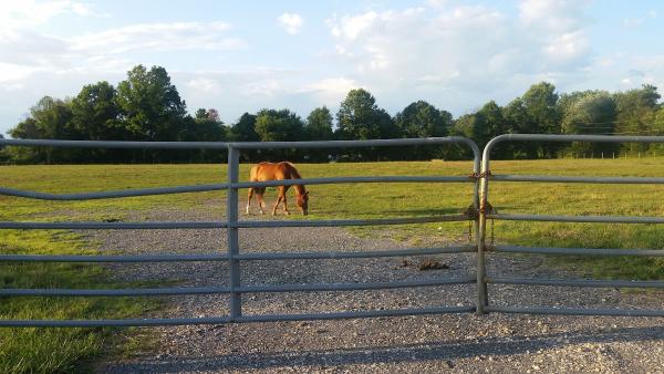 Laytonsville Turf Farm