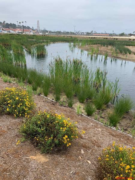 Coast Landscaping Inc.