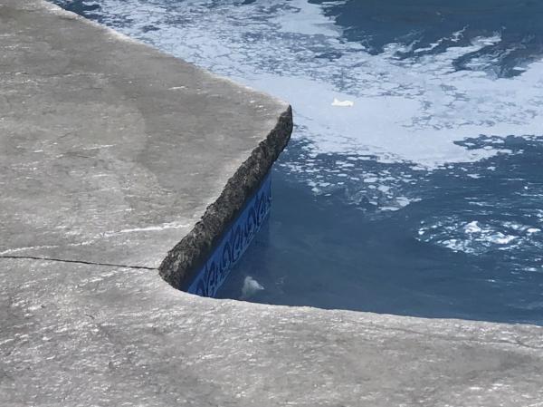 Senecal Concrete Designs