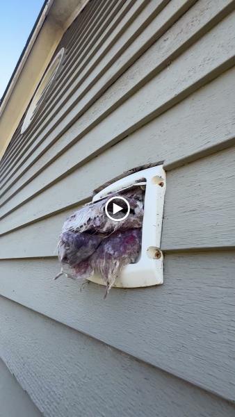 Eaton Home Solutions LLC Dryer Vent Cleaning Specialists