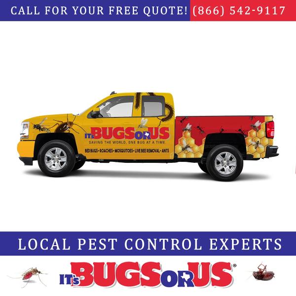 It's Bugs Or Us Pest Control