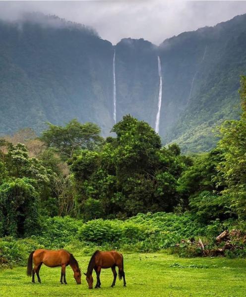 Island Style Luxury RE / Stephanie L Lopez