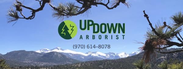 Updown Arborist LLC