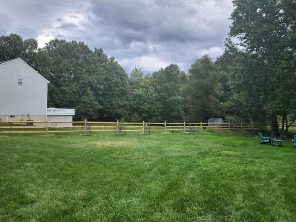 Ruggerio's Lawn Service Plus