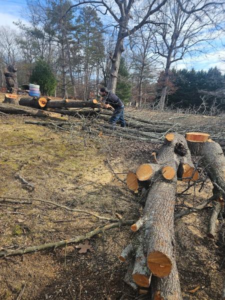 Four Seasons Tree Service
