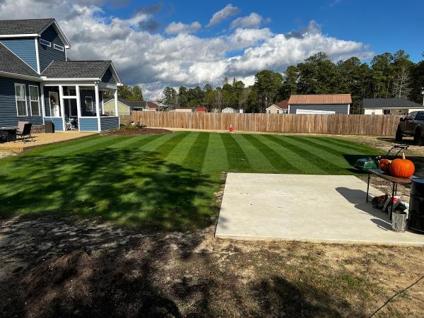 Growing Pains Turfscapes