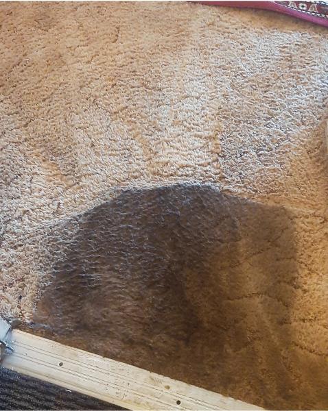 McCall's Carpet Cleaning San Diego Tile and Grout