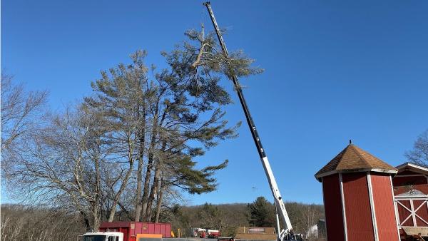 North Smithfield Tree Service
