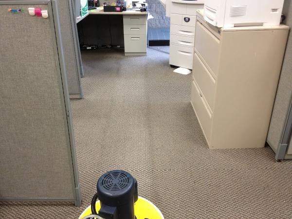 Magic Carpet Steam Cleaning