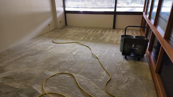 Magic Carpet Steam Cleaning