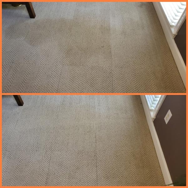 Citrus Scrub Carpet Cleaning