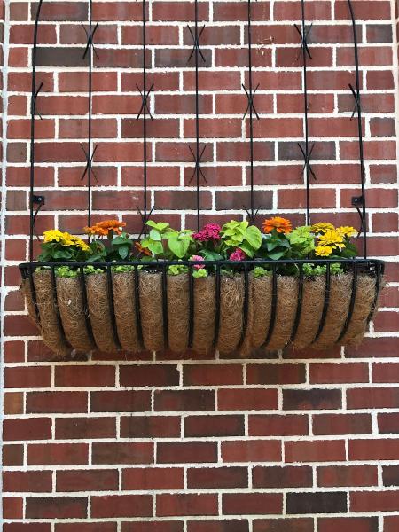 Susie's Garden Services
