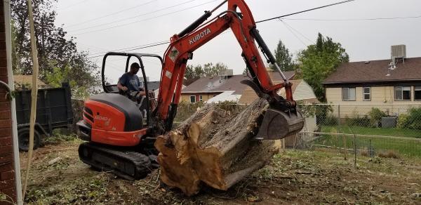 Tree Surgeons