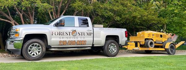 Forest Stump Grinding Company