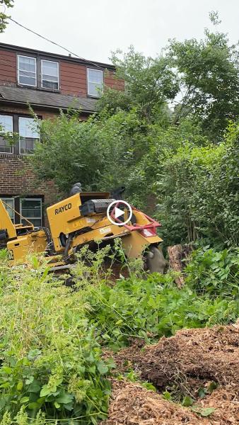 Forest Stump Grinding Company