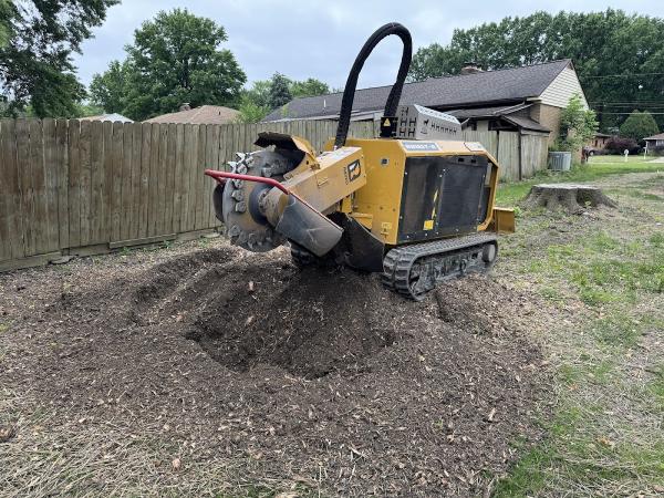 Forest Stump Grinding Company