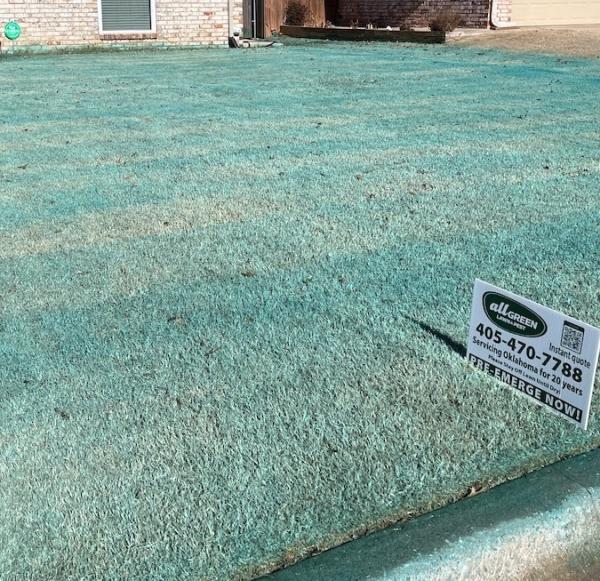 All Green Lawn & Pest