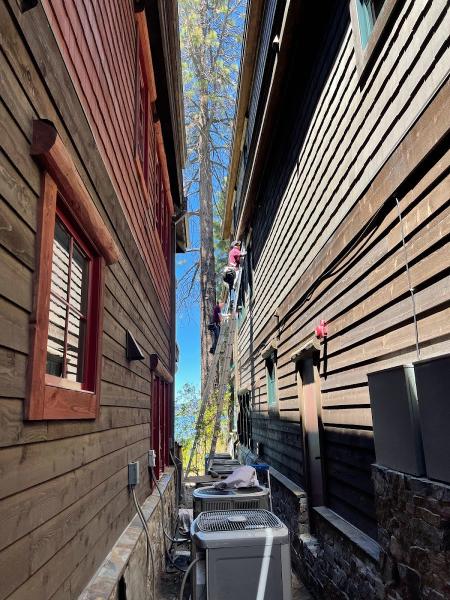 S&V Window Cleaning and Services