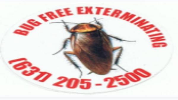 Bug Free Exterminating