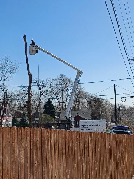 Majestic Tree Service