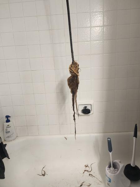 Royal Plumbing