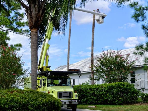 Beaver Tree Service