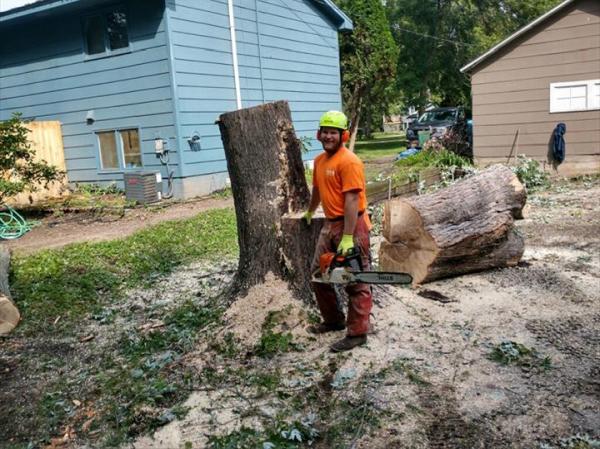 Twin Pines Tree Care & Landscaping