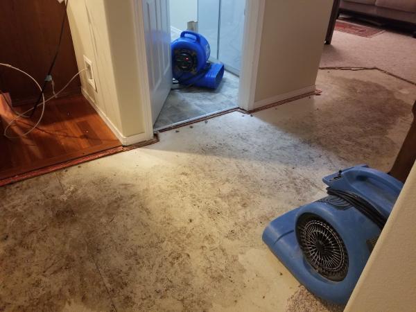 Service Pro Water Damage Restoration