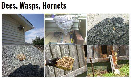 Waverly Pest Control Inc.